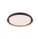 Потолочный светильник REDO 01-1695 TALADO Black