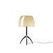 Настільна лампа Foscarini Lumiere piccola, Warm White