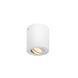 Накладний точковий світильник SLV TRILEDO CL 10W, White