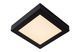 Стельовий світильник для ванної Lucide BRICE LED LED Dim. 1x22W 3000K IP44 Black, BLACK