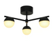 Потолочный светильник Nordlux Contina 3, Black