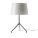 Настольная лампа Foscarini Lumiere XXL, White