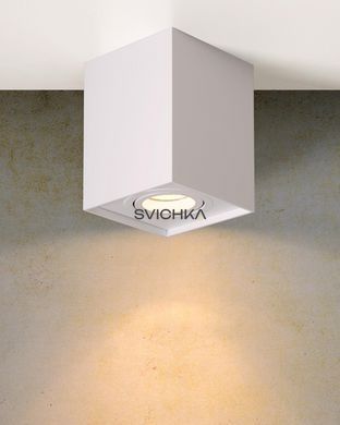 Потолочный точечный светильник Lucide TUBE 1xGU10 White