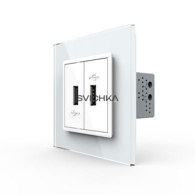 Розетка подвійна USB з блоком живлення Livolo білий скло (VL-C792U-11)
