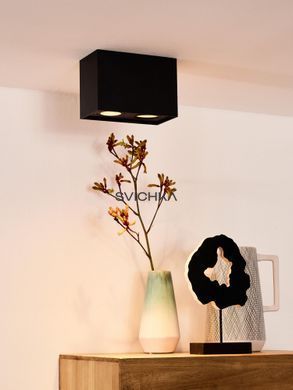 Стельовий точковий світильник Lucide TUBE 2xGU10 Black, BLACK