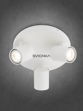Потолочный светильник Smarter Cameo 3R
