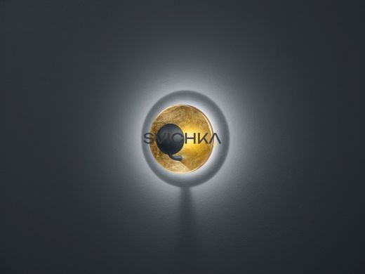 Настенный светильник Trio 223810279 Aurora
