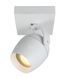 Потолочный точечный светильник для ванной Lucide PRESTON 1xGU10 IP44 White, WHITE