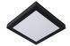Потолочный светильник для ванной Lucide BRICE LED LED Dim. 1x30W 3000K IP44 Black, BLACK