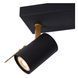 Потолочный точечный светильник Lucide GRONY LED Dim to warm GU10 2x5W 2200K/3000K Black, BLACK, Черный, Черный