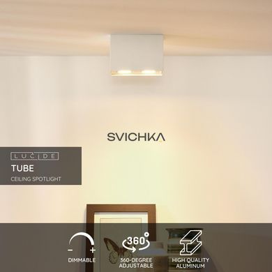 Потолочный точечный светильник Lucide TUBE 2xGU10 White