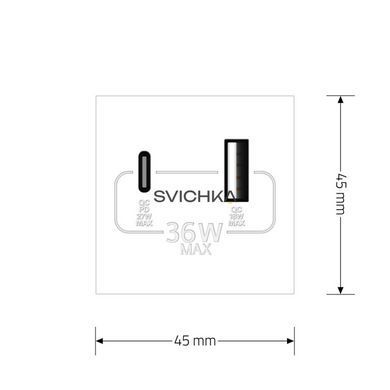 Механизм розетка USB-A и USB-C с Power Delivery 36W Livolo