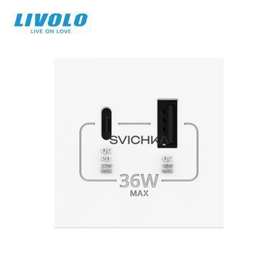 Механизм розетка USB-A и USB-C с Power Delivery 36W Livolo