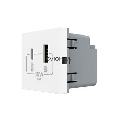 Механизм розетка USB-A и USB-C с Power Delivery 36W Livolo