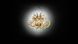 Подвесной светильник Slamp LILLIBET TRANSP