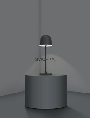 Автономная настольная лампа Eglo MANNERA