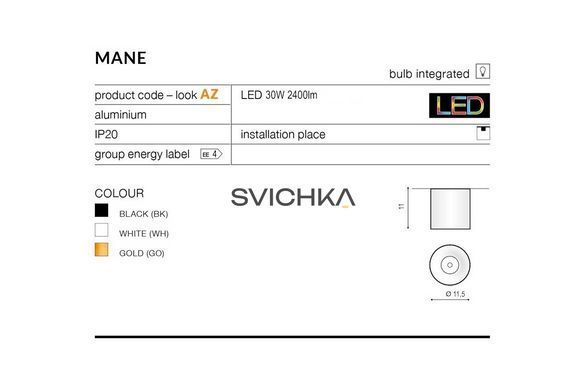 Накладний точковий світильник Azzardo Mane 30W 3000K White