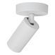 Потолочный точечный светильник Lucide CLUBS 1xGU10 White, WHITE
