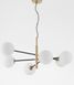 Подвесной светильник Nova luce Vitra 6 Gold/Black