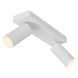 Потолочный точечный светильник Lucide CLUBS 2xGU10 White, WHITE
