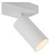 Потолочный точечный светильник Lucide CLUBS 2xGU10 White, WHITE