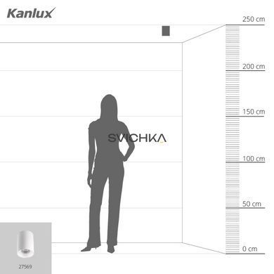 Точковий світильник Kanlux RITI GU10 W/W
