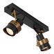 Потолочный точечный светильник Lucide TUNDRAN 2xGU10 Black, BLACK