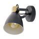 Спот Eglo COSWARTH 1 Black