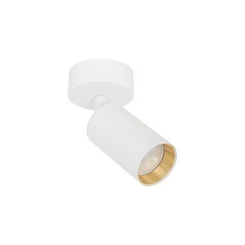 Спот TK-Lighting 10794 AMIS, White