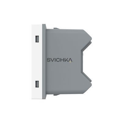 Механизм универсальная розетка 2 в 1 Livolo