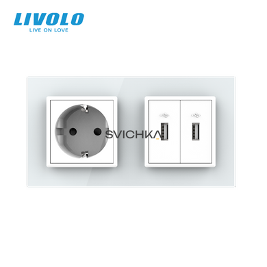 Розетка с заземлением с 2 USB розетками Livolo