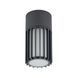 Потолочный светильник TK Lighting 11508 RIBO, Gray