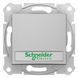 Кнопковий вимикач Schneider Electric Sedna з синім підсвічуванням та полем для маркування, алюминий, Алюміній