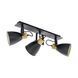 Спот Eglo COSWARTH 3 Black