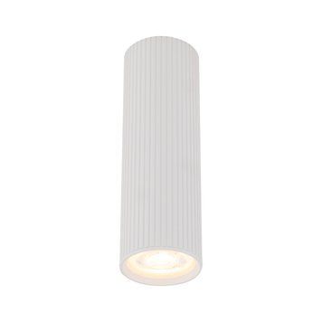 Точковий світильник TK-Lighting 10025 TUNE M, White