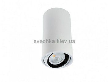 Точковий світильник BPM LUK TUBE 20051.02.W-BK.D40.3K
