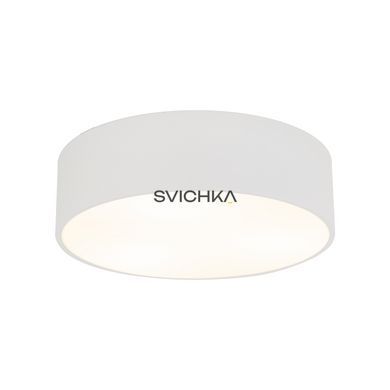 Потолочный светильник TK Lighting LIVO M