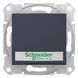 Кнопковий вимикач Schneider Electric Sedna з синім підсвічуванням та полем для маркування, графіт, Графіт