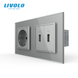 Розетка с заземлением с 2 USB розетками Livolo