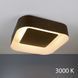 Потолочный светильник Imperium Light Zenith Brown