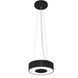 Підвісний світильник Pikart Rings 300, Black