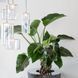 Подвесной светильник Axo Light SPILLRAY SP SPILL 6