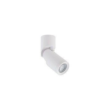 Точечный светильник Nowodvorski Downlight MIKE