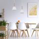 Підвісний світильник TK Lighting NORD 1 White