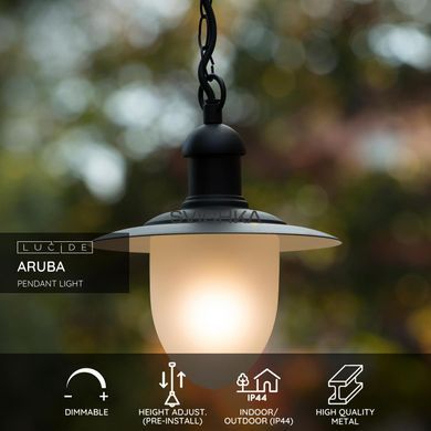 Подвесной светильник для дома и улицы Lucide ARUBA &Oslash; 25 cm 1xE27 IP44 Black