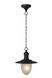 Подвесной светильник для дома и улицы Lucide ARUBA &Oslash; 25 cm 1xE27 IP44 Black, BLACK, Матовый