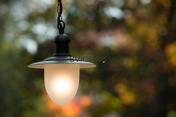 Подвесной светильник для дома и улицы Lucide ARUBA &Oslash; 25 cm 1xE27 IP44 Black