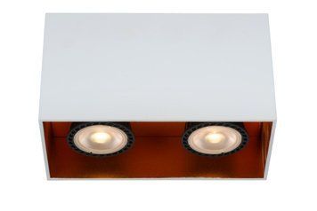 Потолочный точечный светильник Lucide BIDO 2xGU10 White
