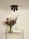 Потолочный точечный светильник Lucide GRONY LED Dim to warm GU10 3x5W 2200K/3000K Black, BLACK, Черный, Черный