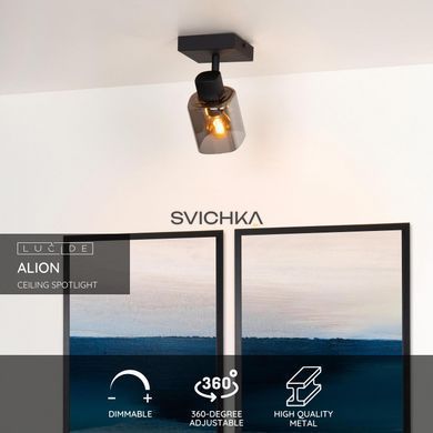 Потолочный точечный светильник Lucide ALION 1xE14 Black